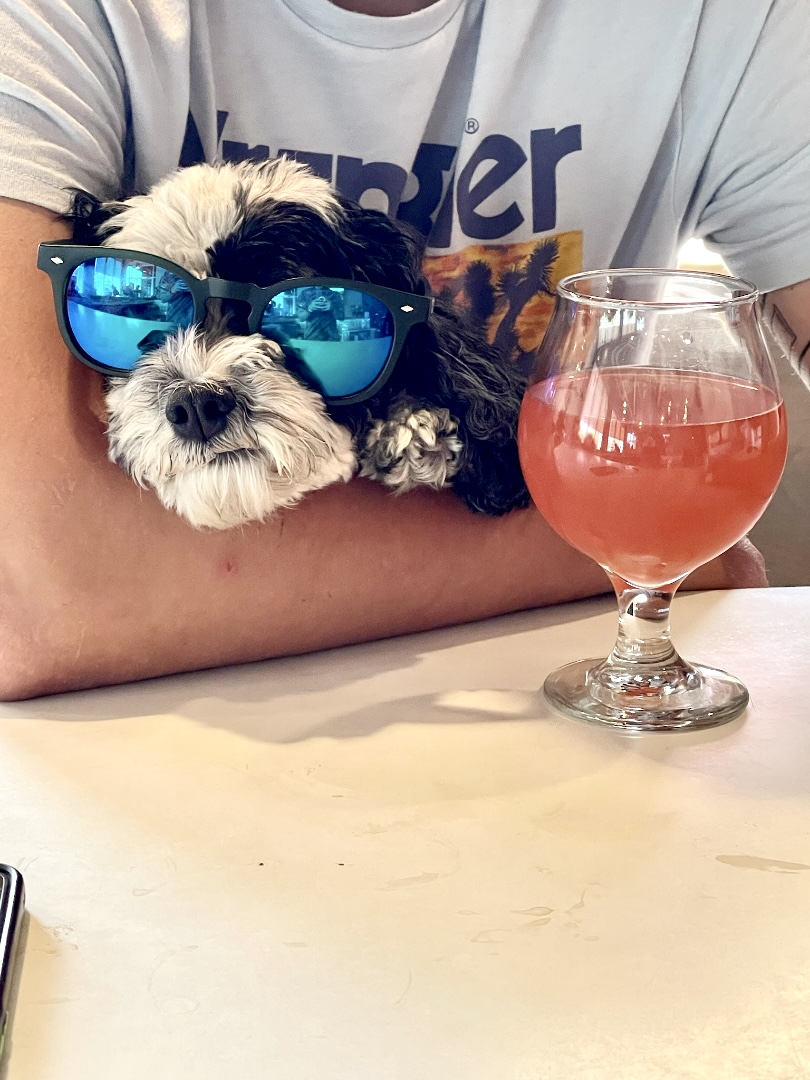 🍻😎 Monday Vibes? We've got the cure! Drop by Young Lion Brewing for a pint of happiness. Let's turn those Monday blues into brews! Cheers! 🦁🍻 #YoungLionBrewing #DrinkInTheLionsDen #ThinkNYDrinkNY