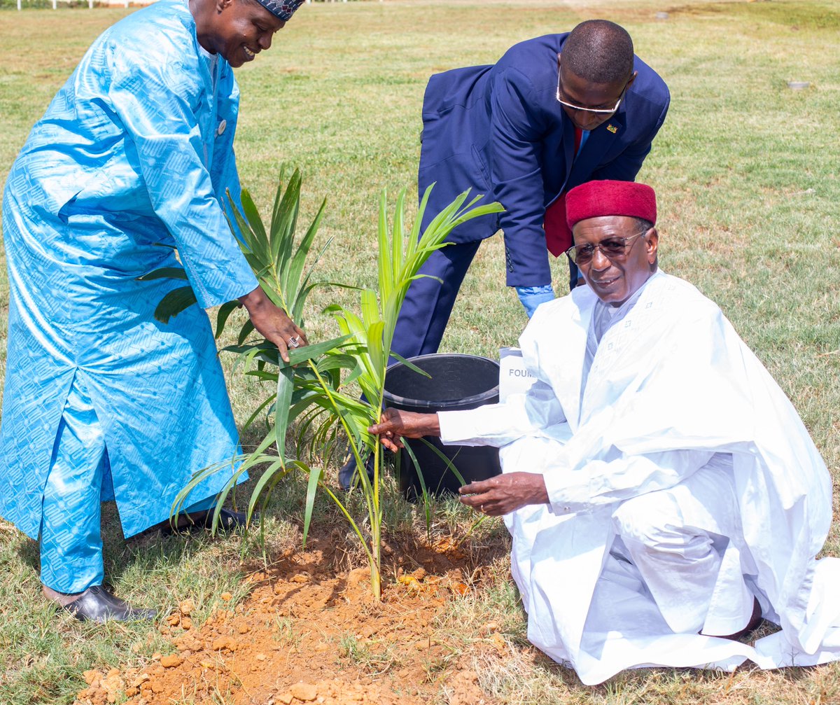 Fondation Issoufou Mahamadou tweet media