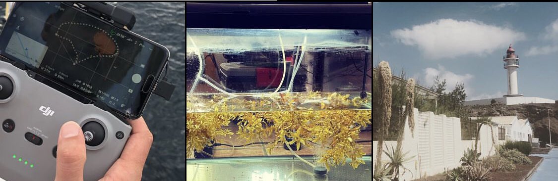 We are hiring! If you want to be part of the MacroCarbon team and help defossilize the chemical industry by developing seaweed aquaculture in the Canaries, check our job descriptions and apply! linkedin.com/mwlite/search/…