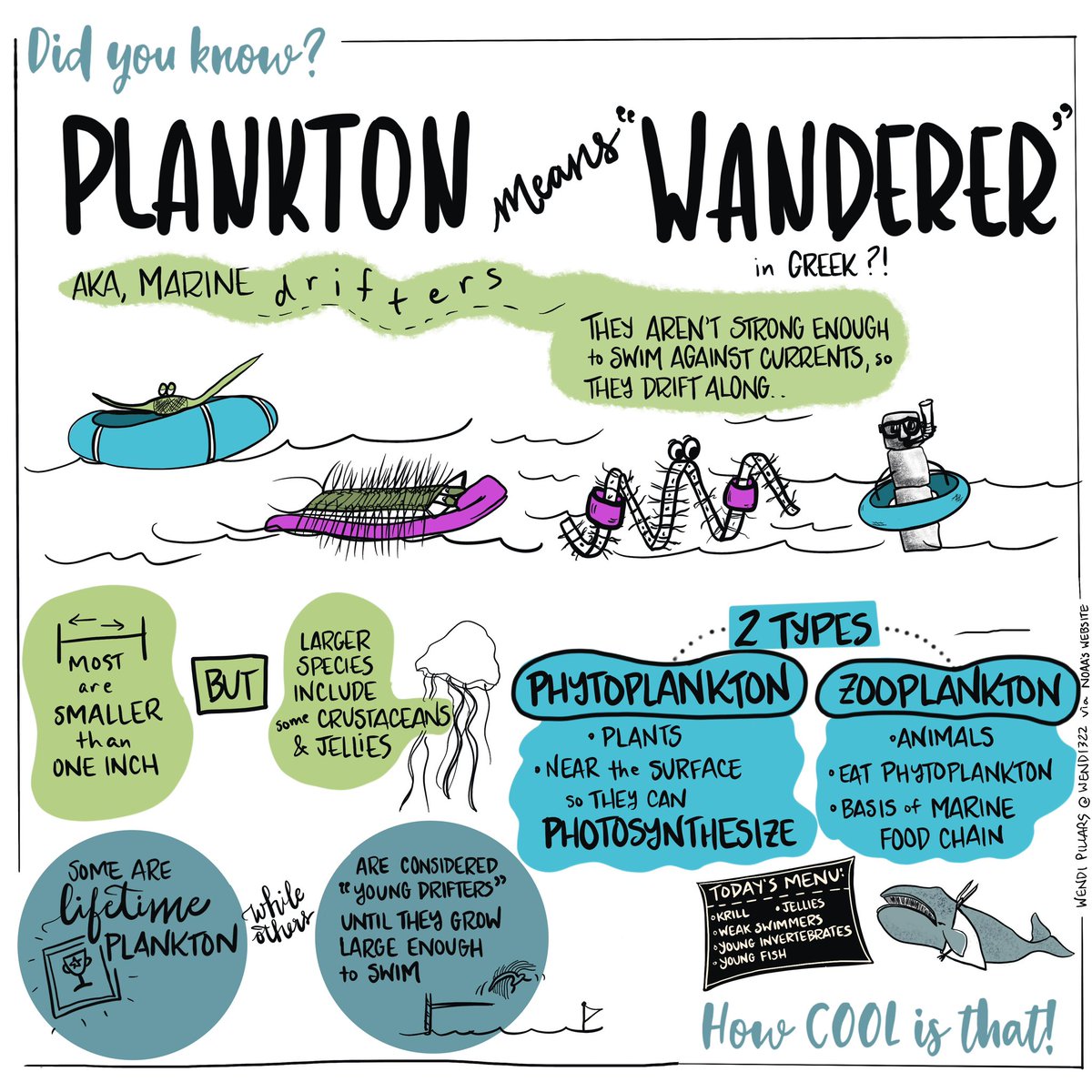 Did you know that Plankton means “wanderer” in Greek? I had fun imagining them drifting along 😍#howcoolisthat #didyouknow #oceans
#scicomm #artisticfreedom