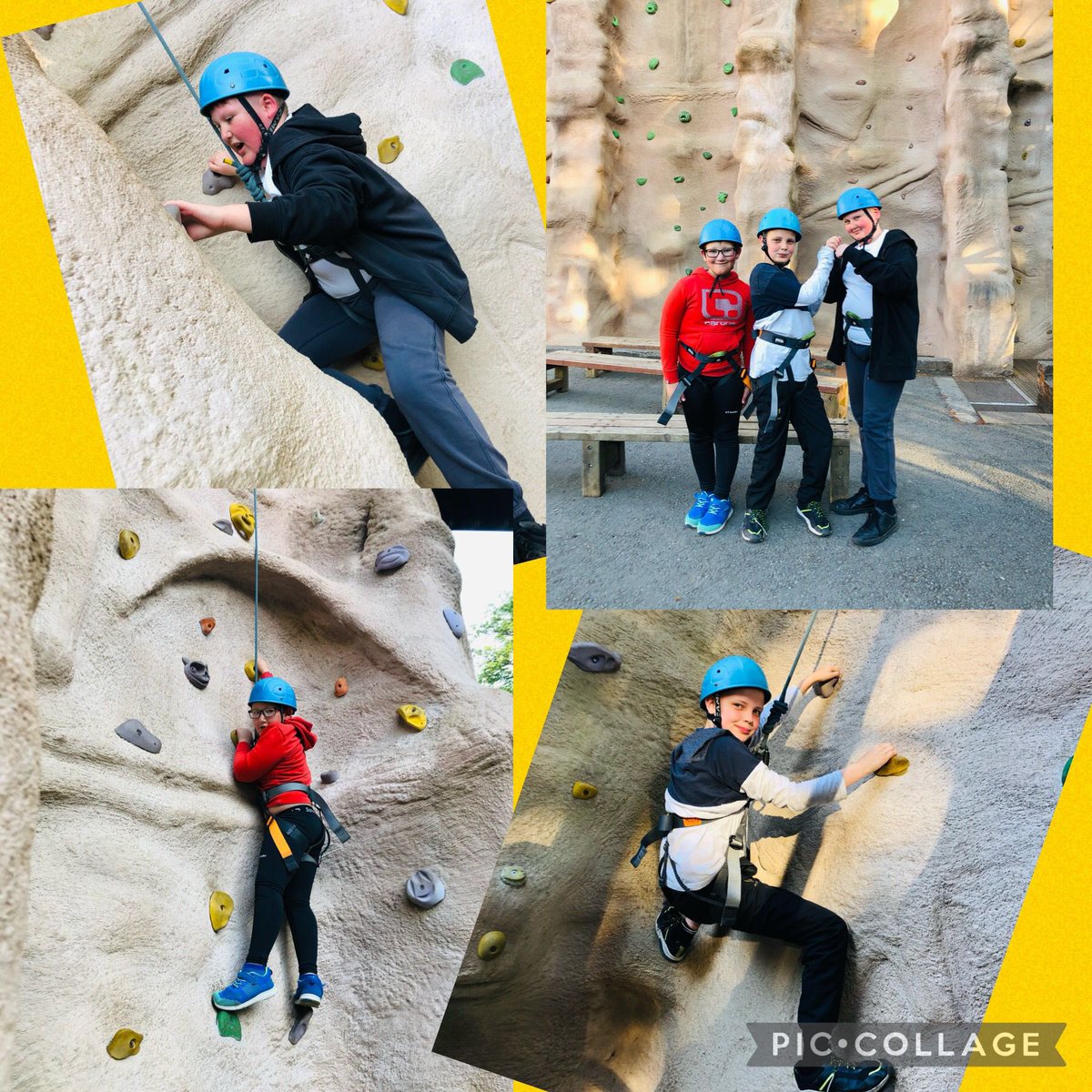 Bodringallt Primary tweet media