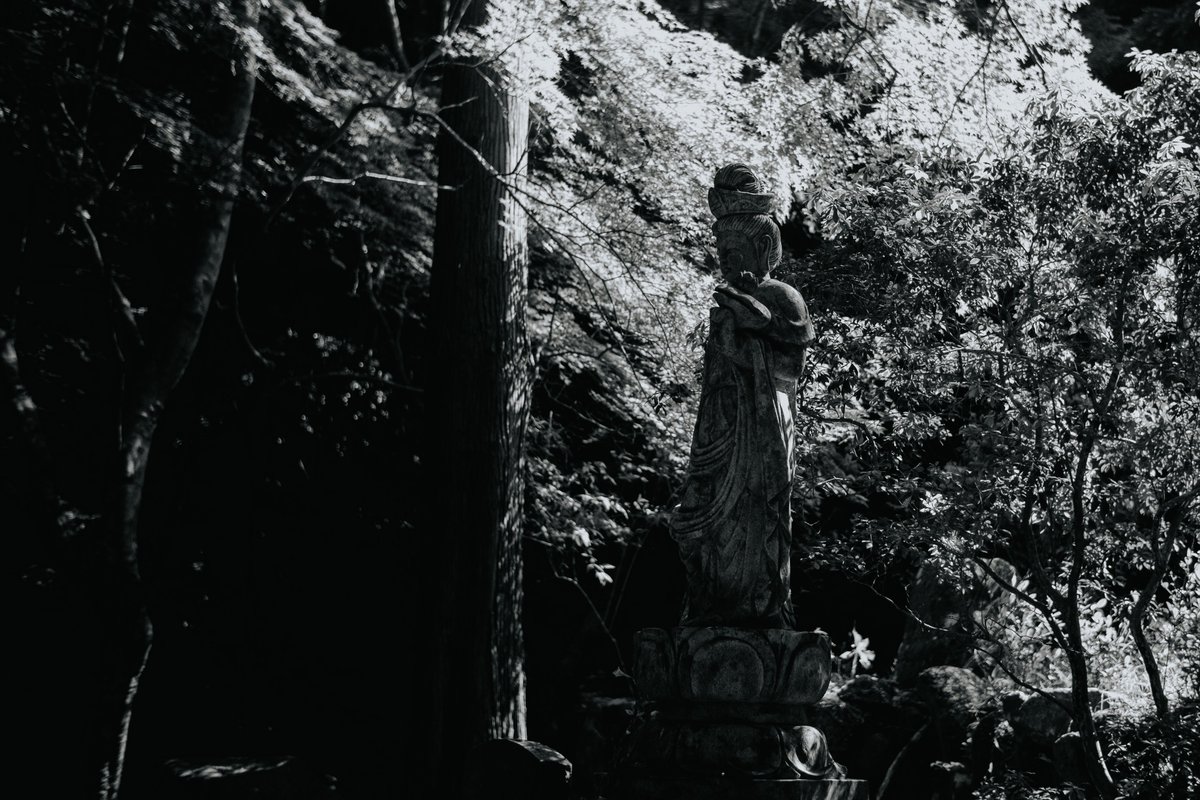 almightygenera1's tweet image. 