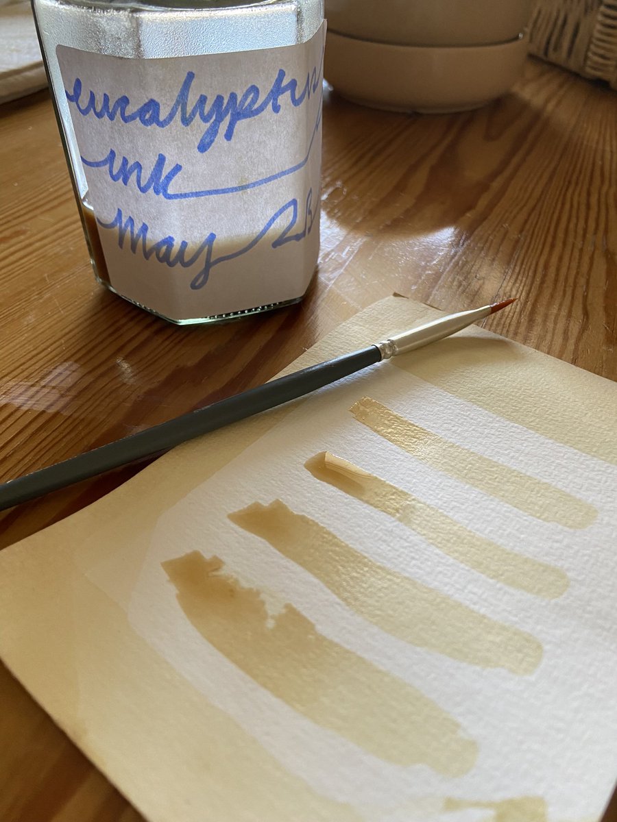 EllieClewlow's tweet photo. Continuing my ink-making experiments. This time with eucalyptus leaves. A decent orangey result, which develops darker than it initially appears on the page. Very wobbly lettering, made with a brush rather than a nib pen #naturalinkmaking #botanicalinks #worldenvironmentday https://t.co/yqs9xghmuz
