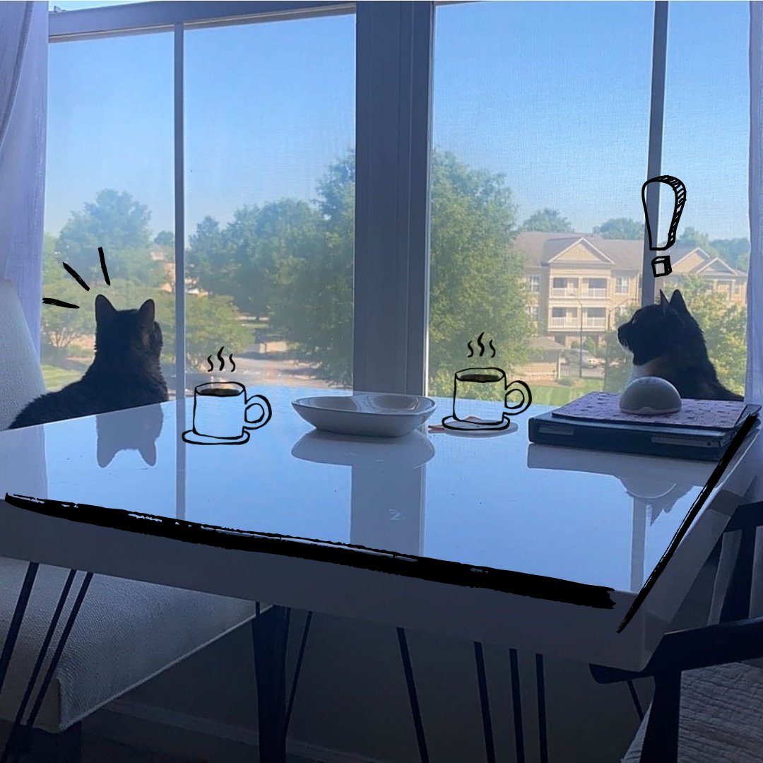 Caption This: What are these two discussing over coffee?

📸: Graciela
#GreystoneatWidewaters #KnightdaleApartments #LincolnProperties #LPCyoubelonghere #LincolnPropCo #LiveLoveLincoln #LPCmidatlantic #LPC