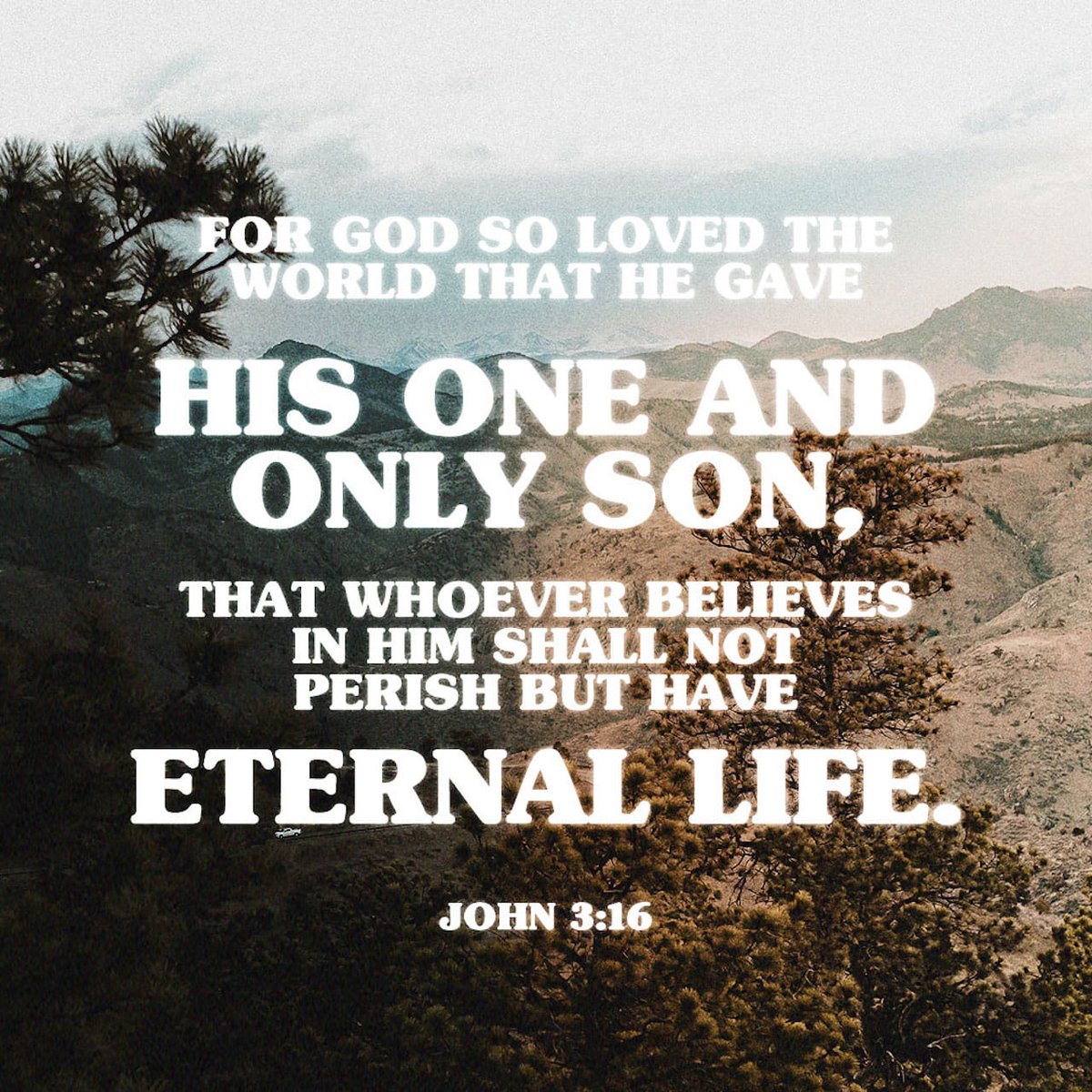 John 3:16