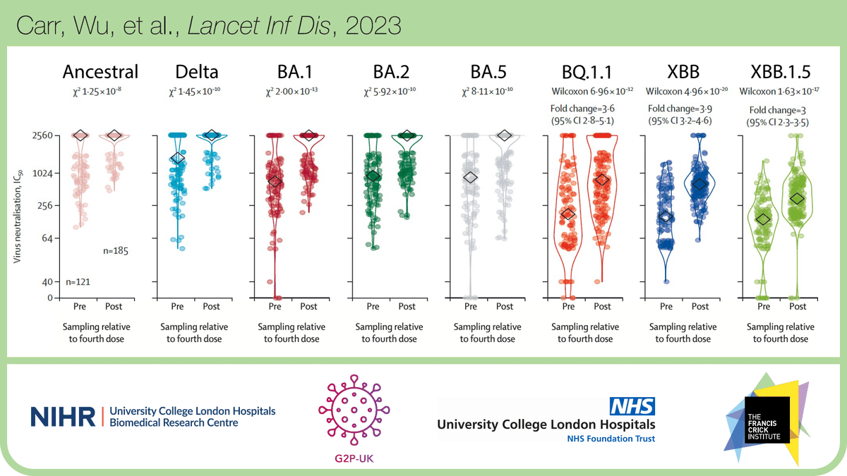 Emma Wall (@dremmacbw) on Twitter photo ❓Why didn’t the UK🇬🇧 experience a severe COVID wave from Omicron “escape variants” XBB & BQ.1.1 in Winter 2022, unlike others (e.g. 🇸🇬🇺🇸)?
🚨New data from @UCHLResearch <a href="/TheCrick/">The Francis Crick Institute</a> Legacy study, out today <a href="/TheLancetInfDis/">The Lancet Infectious Diseases</a>
⏩ doi.org/10.1016/S1473-…
Read on: a 🧵... 1/n ❓Why didn’t the UK🇬🇧 experience a severe COVID wave from Omicron “escape variants” XBB & BQ.1.1 in Winter 2022, unlike others (e.g. 🇸🇬🇺🇸)?
🚨New data from @UCHLResearch <a href="/TheCrick/">The Francis Crick Institute</a> Legacy study, out today <a href="/TheLancetInfDis/">The Lancet Infectious Diseases</a>
⏩ doi.org/10.1016/S1473-…
Read on: a 🧵... 1/n