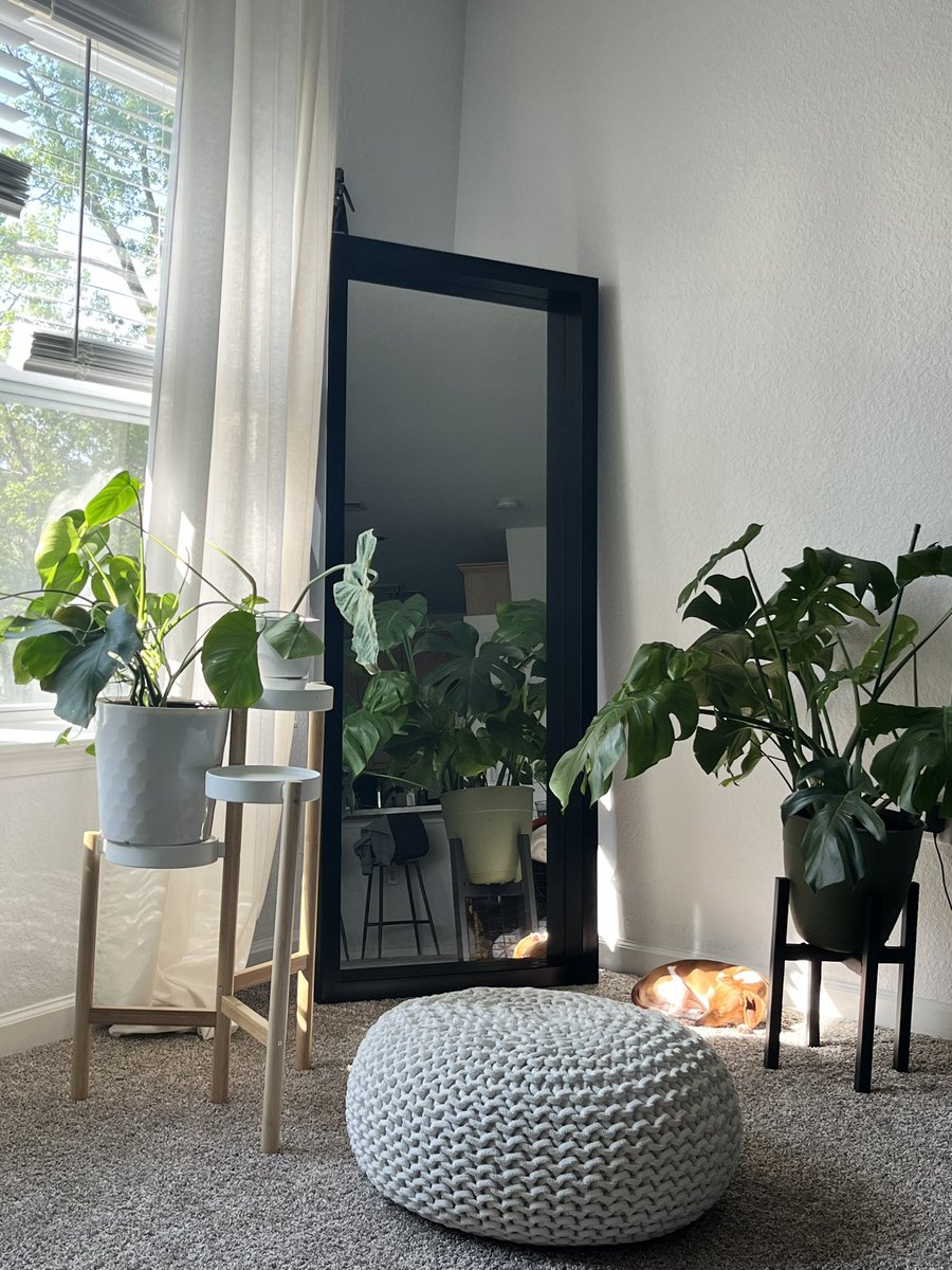 jacMONTES's tweet image. My boy