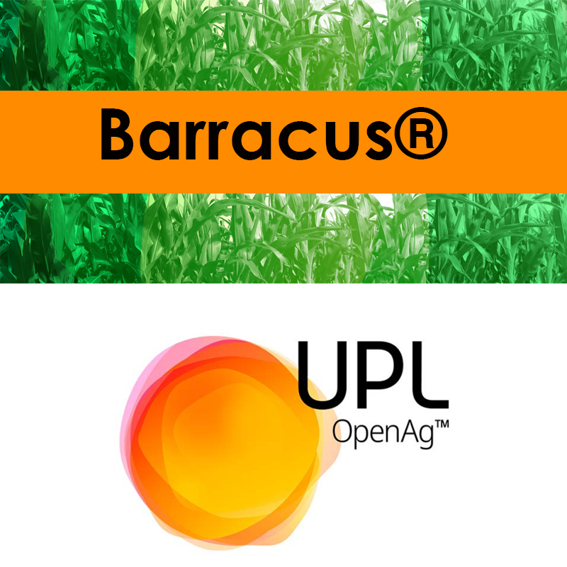 PTecnoagricola's tweet photo. 🆕 Incorporamos un producto de @UPL_Iberia a #VADEMECUM
🟠 #Barracus®
Piretroide sintético con actividad insecticida por contacto e ingestión.
🛡️ Control de Diabrotica virgifera, Melolontha sp., Agriotes sp. y Agrotis sp.
🔬 LAMBDA CIHALOTRIN 0,4%. GR
📋 https://t.co/H7I1Zuz7Vr https://t.co/BbcMas55zd