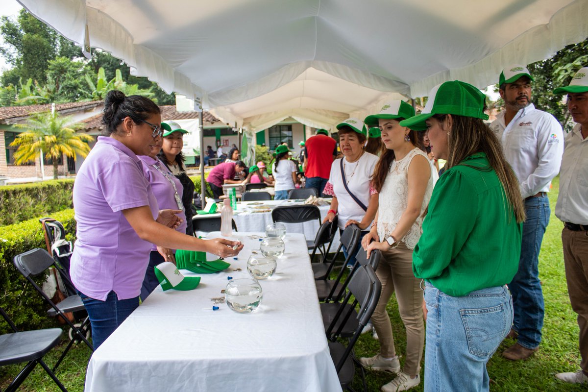 Gobierno Municipal de Coatepec tweet media