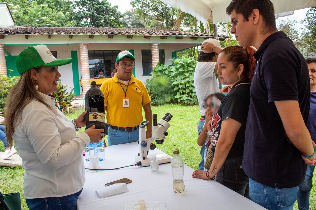 Gobierno Municipal de Coatepec tweet media