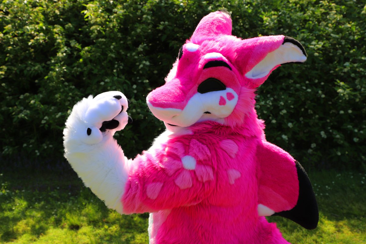 FatsContentEdit's tweet photo. The #Editing is done, here's some shots at #TorontoIsland I took over the #Weekend with @Coral_Manokit. She was a great model and we had a lot of fun! Be sure to give her a follow!

If you do #Cosplay #modelling #maskot #Fursuit and want some #photography in #toronto I'm open! https://t.co/XKekVyzOAl