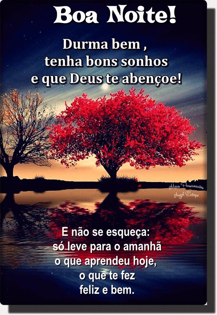 Boa Noite vermelhada 🥰🥰