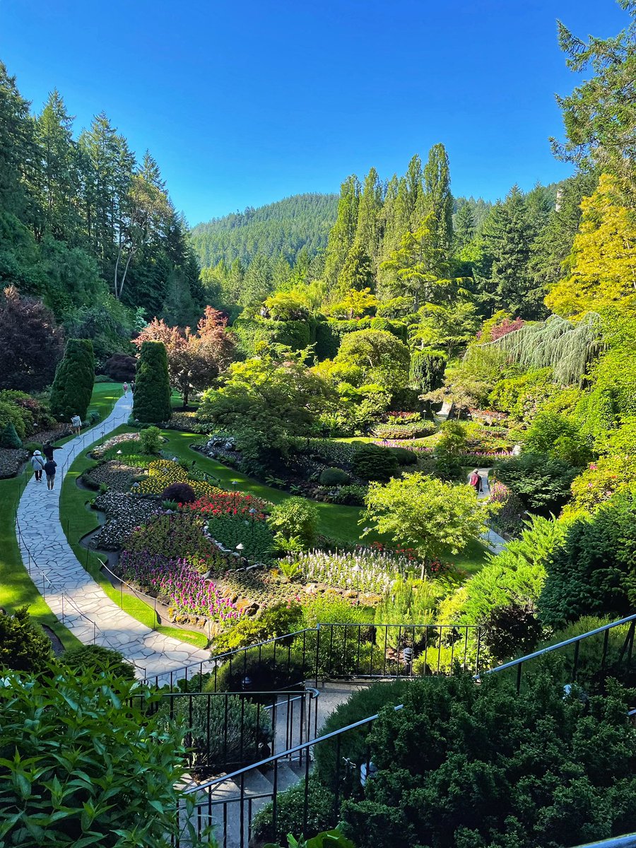 A glorious day! JÁN U ÍY SȻÁĆEL TI¸Á ȺNEȻ 🌺🌷🌸☀️

#W̱SÁNEĆ #yyj #BrentwoodBay #ButchartGardens