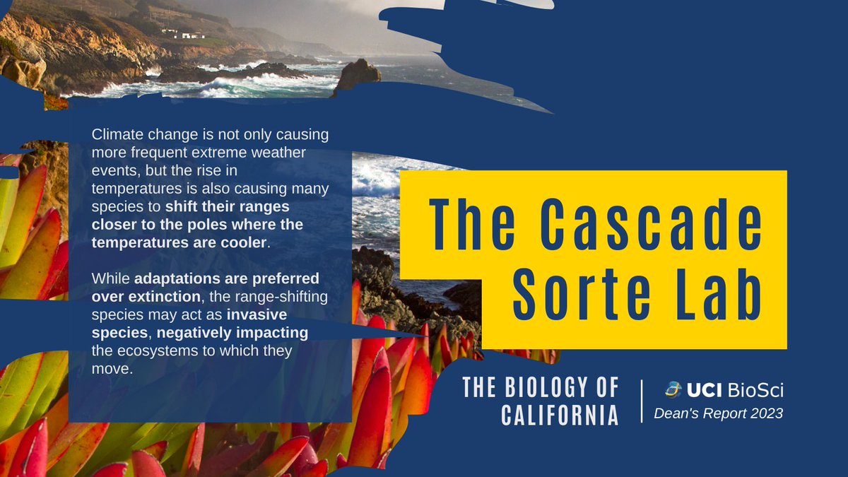 UCIBioSci's tweet photo. This year's Dean's Report spotlights the Sorte Lab at #UCIBioSci. Professor Cascade Sorte and her team work to understand the effects of #global change, including #climatechange and species invasions.🐌
Read more: https://t.co/NxIAbbbIBW
@CascadeJBS @FrankLaFerla https://t.co/OIjrMjS4lj