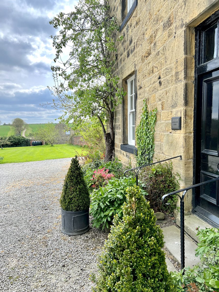 Reece Dinsdale tweet media