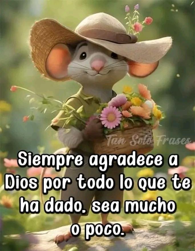 Gracias Diosito.