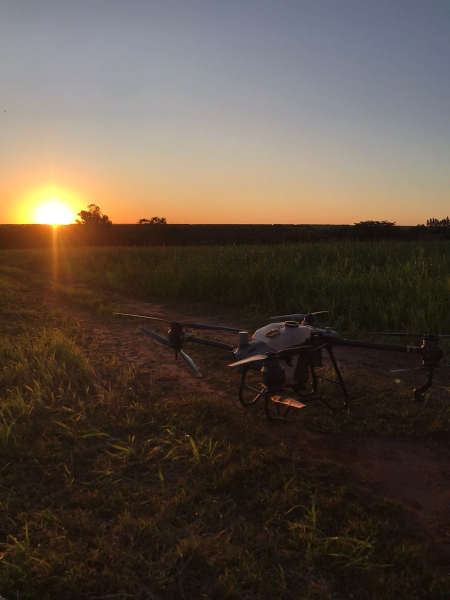 UfprS's tweet photo. Last weekend we were spraying millet with a SJI T40 drone. We need to better understand at which point different herbicides can be effective using low application rates.

#drone #applicationtechnology #DJI #Weeds https://t.co/EF1QsbS418