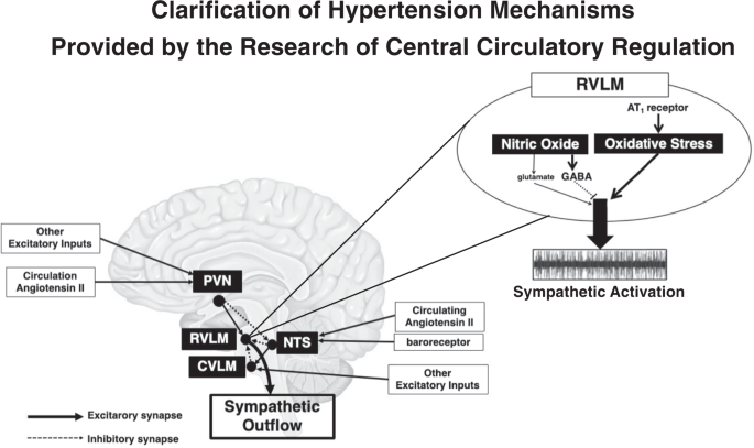 #高血圧 の原因としての脳の重要性に関するReview論文です。自分の研究の振り返りでもあり、さらに発展させます。

Clarification of hypertension mechanisms provided by the research of central circulatory regulation
Kishi T
doi.org/10.1038/s41440…
@Hypertens_Res #hypertens_res
