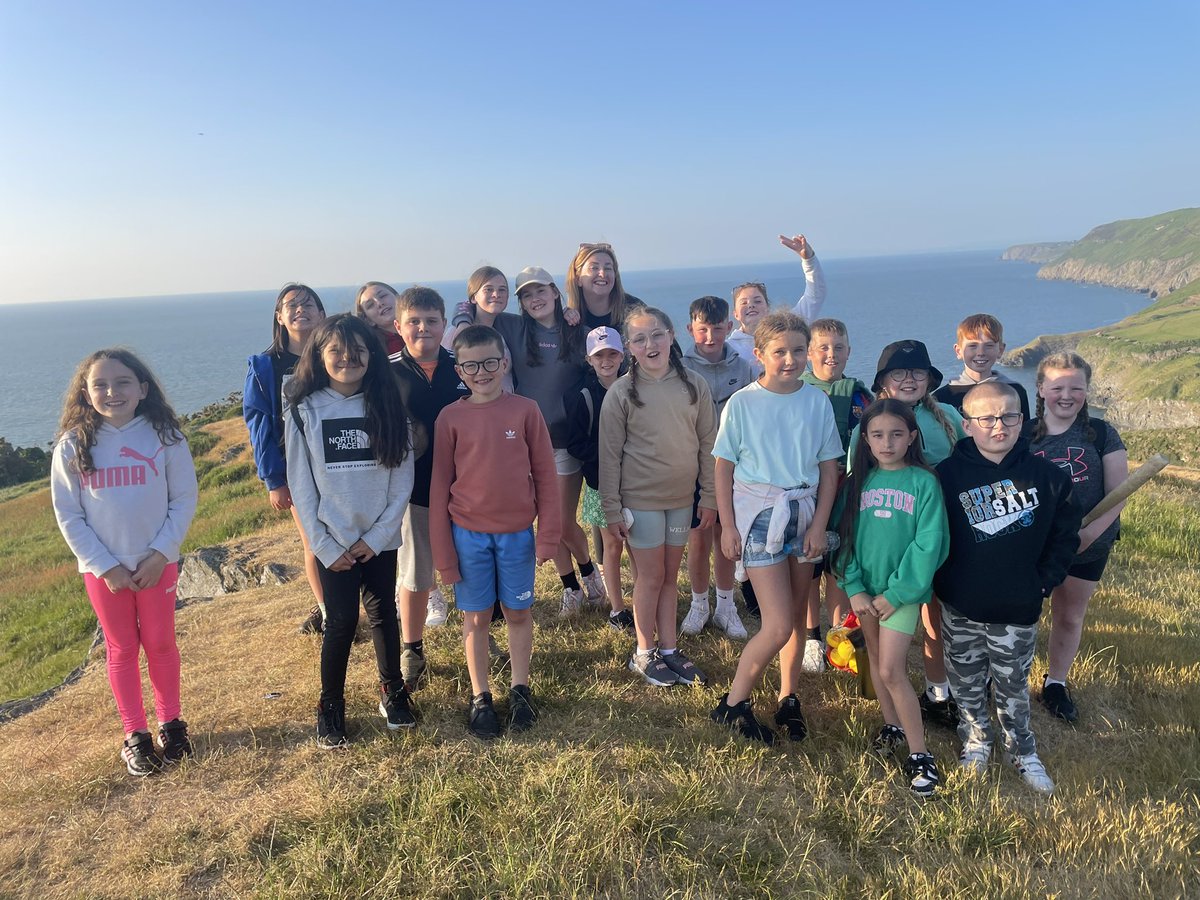 Rhigos Primary tweet media