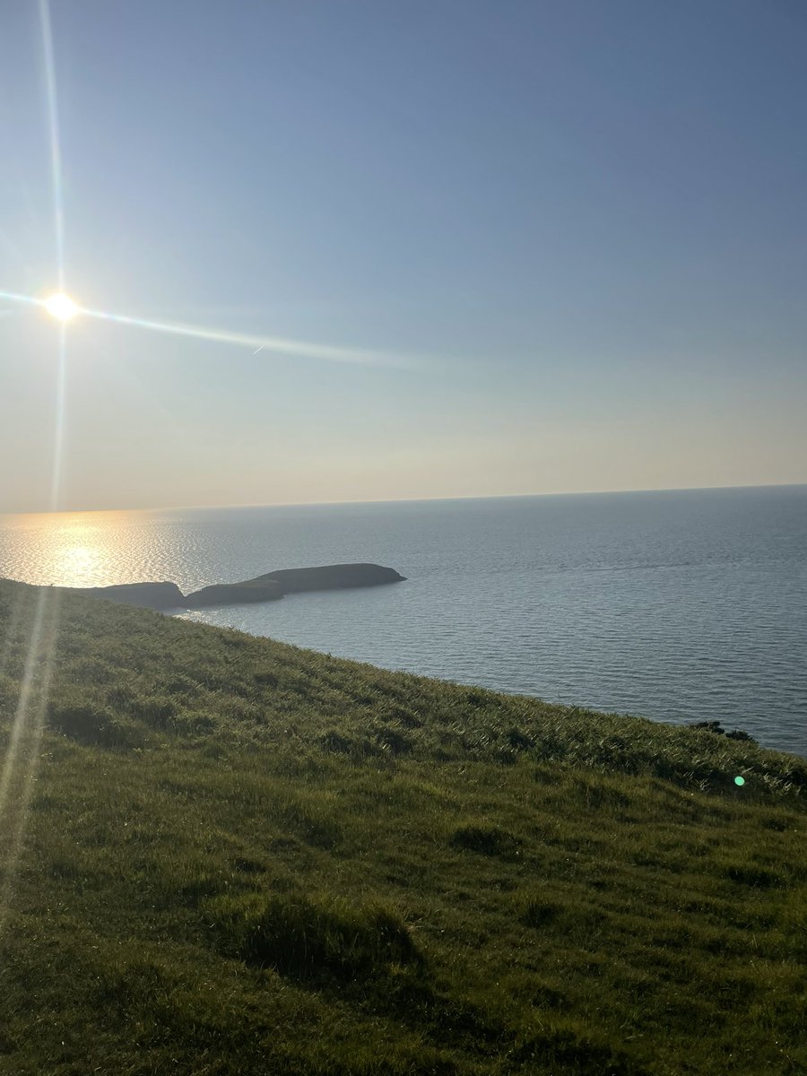 Rhigos Primary tweet media