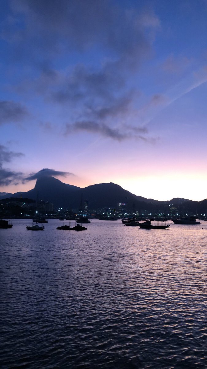 Ingrid Araújo tweet media