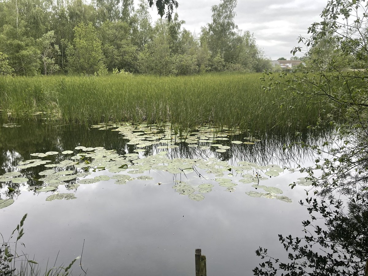 Walk&Talk4Men - St Neots tweet media