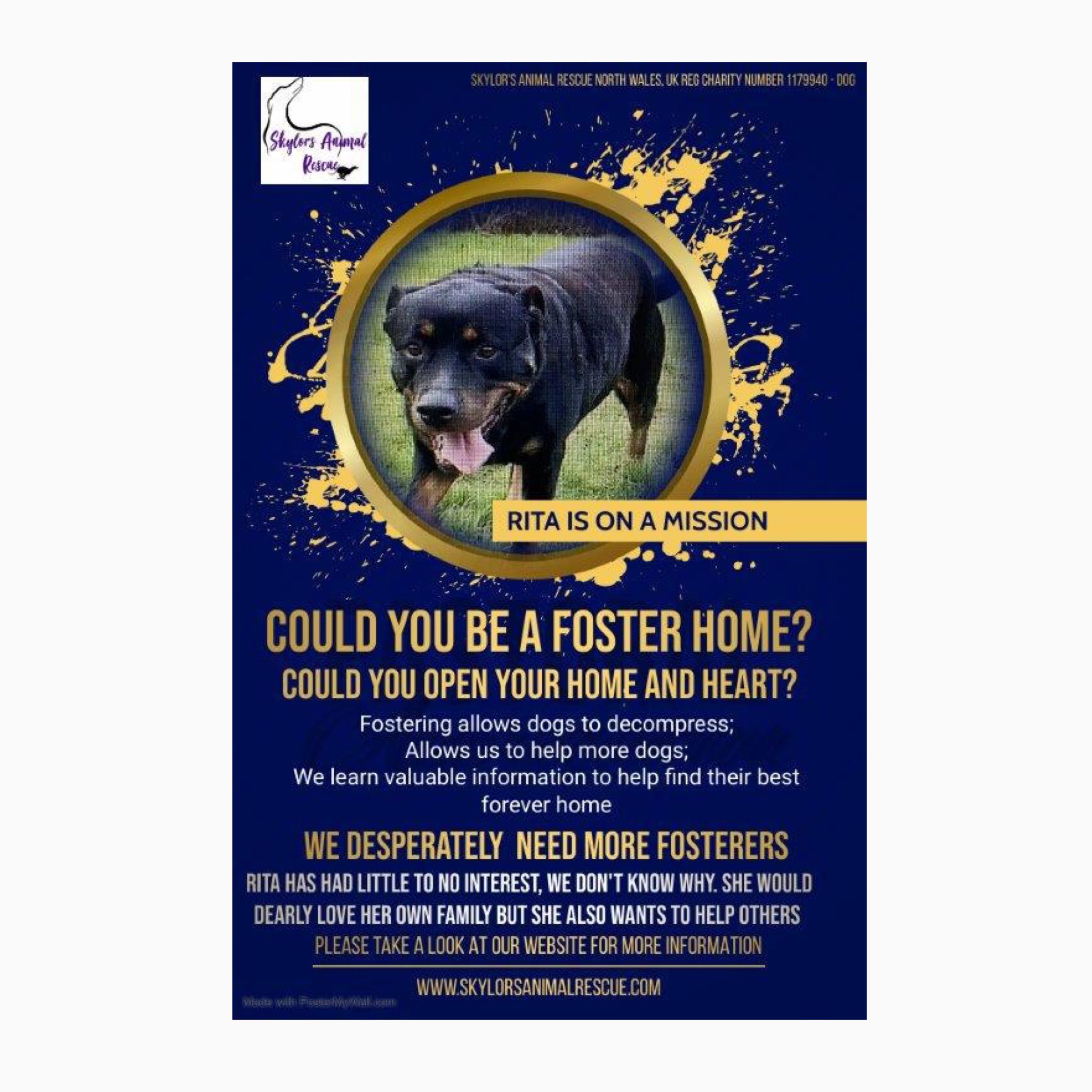 Skylor s Animal Rescue AnimalSkylor X