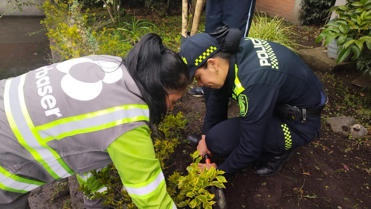 UrbaserDuitama's tweet photo. ¡Nos unimos para conmemorar el día mundial del medio ambiente! 😍🌍💚

Con el Colegio Francisco de Paula Santander y la @PoliciaBoyaca, estuvimos sembrando 5️⃣0️⃣ especias vegetales, acciones que buscan contribuir y cuidar nuestra casa común. 🪴🫱🏻‍🫲🏽💧

#UrbaSerCompromiso https://t.co/0GcXs2gYBH