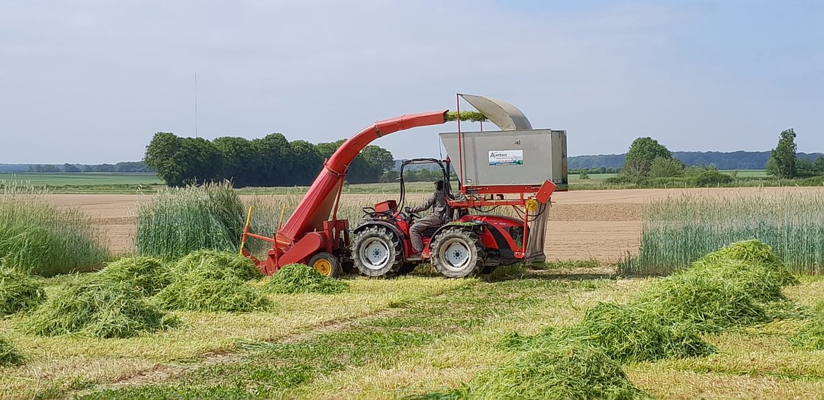 En fin de semaine dernière nous avons récolté nos essais #CIVE d'hiver #methanisation

<a href="/noriapcoop/">noriap</a> <a href="/agrosolutions/">Agrosolutions 🔍 💧 🌾 🤝</a> <a href="/GuillaumeBOYET/">Guillaume Boyet - NORIAP 🧢</a> <a href="/EstelleCleuet/">Cleuet Estelle NORIAP</a> <a href="/ReneePREVOST80/">Renée PREVOST (NORIAP)</a> <a href="/SucNicolas/">Suc Nicolas</a> <a href="/RoblesNatalia/">Natalia ROBLES</a> <a href="/bertrand_van/">Van Wynsberghe Bertrand</a>