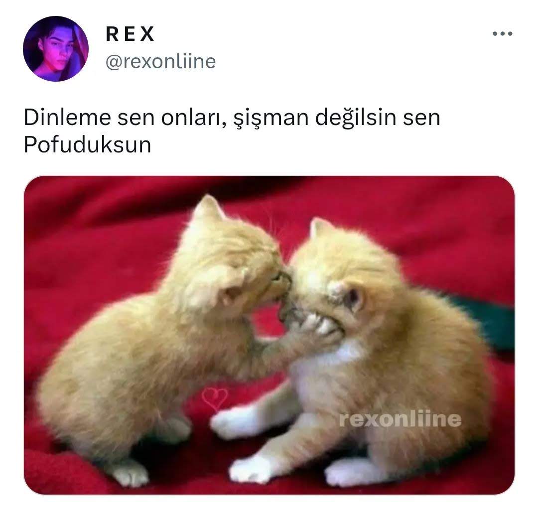 8af0df6c80f74a7's tweet photo. @mugecik11 Sen dinlene onları mügemm boşver 😄😄 https://t.co/3FAFvvY7gy