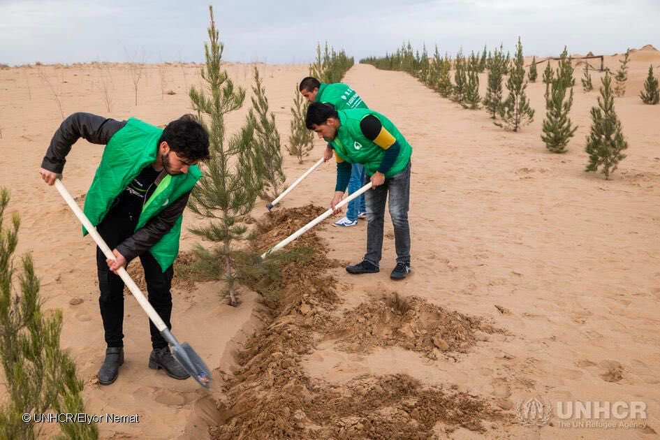 Forcibly displaced people may have contributed the least to climate change, but are among those leading the way in the fight against it.   This #WorldEnvironmentDay, we recognize their work in creating a cleaner and better home for everyone.   Climate action is on all of us.