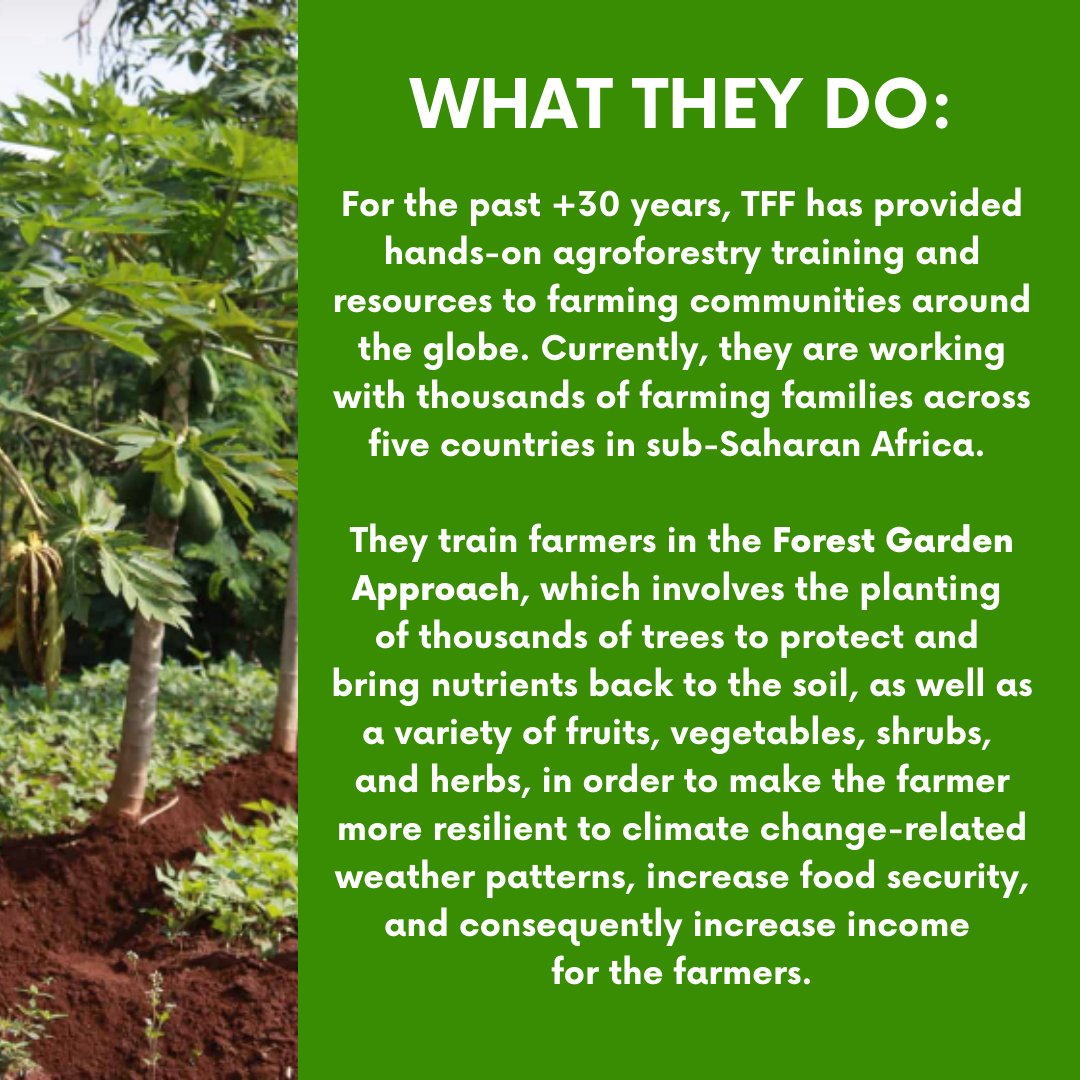 Hey Social Good tweet media