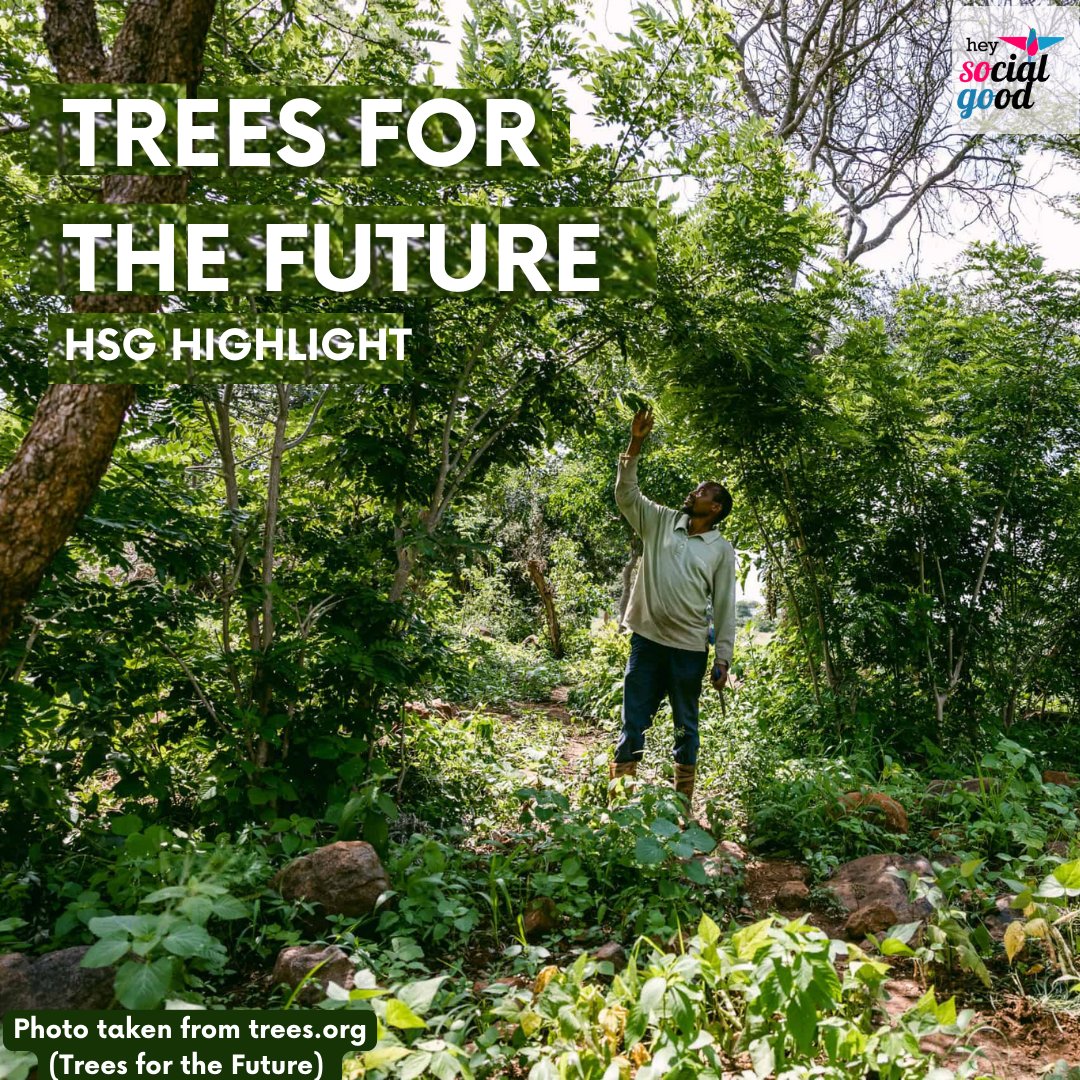 Hey Social Good tweet media