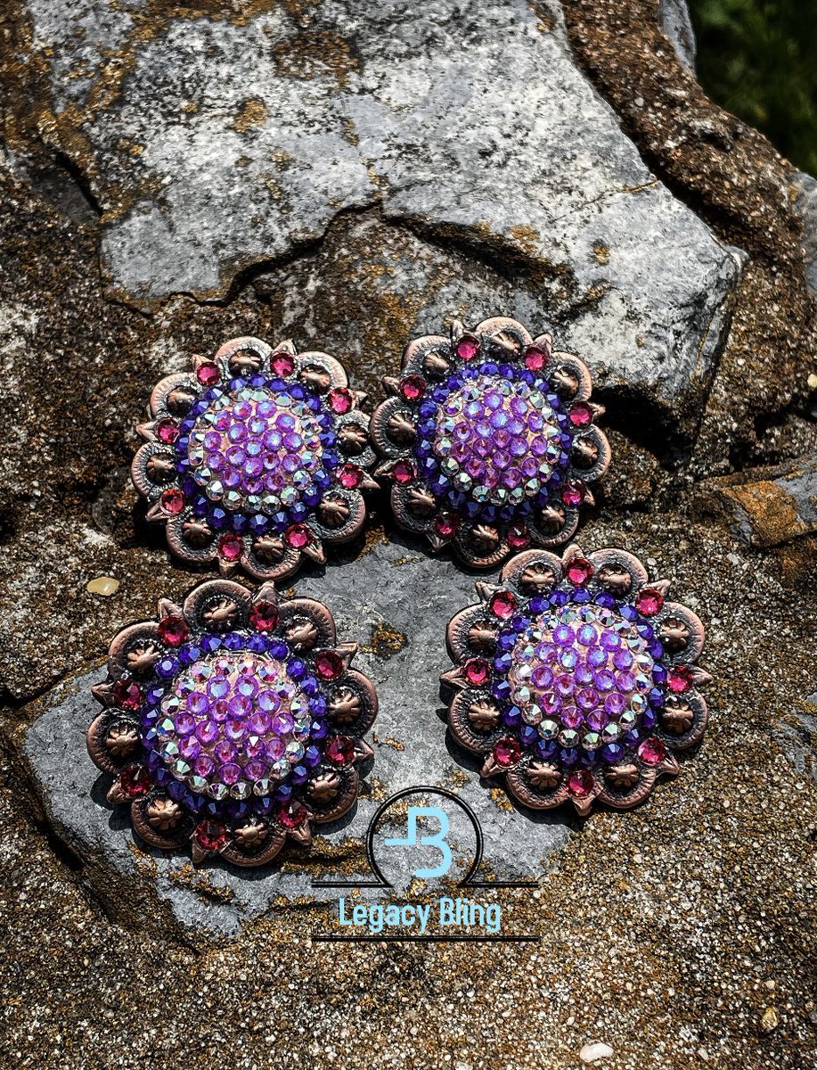 🏝️Protect your peace at all cost 🏝️

🏝️Place your order today for a new set of conchos🏝️

#legacybling #rodeo #art #horse #concho #bling #prca #wpra #wcra #breakawayroping #barrelracing #roping #equine #handmade