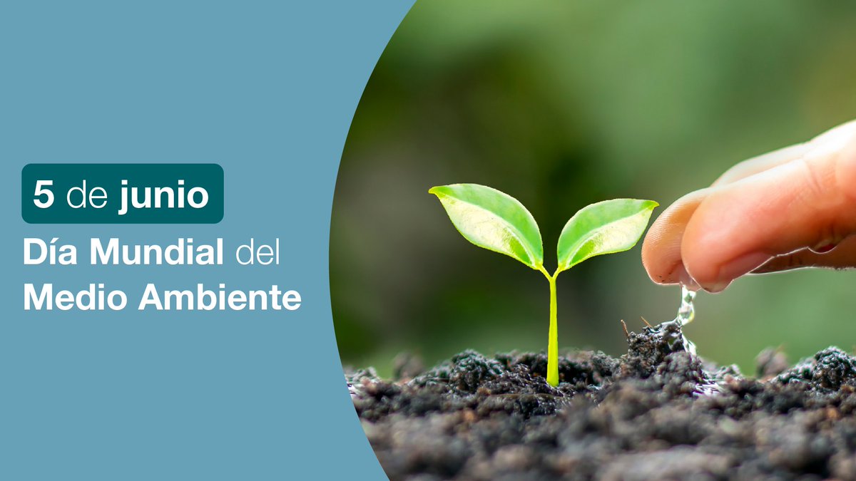 DelvalleASSA's tweet image. Amigos y compañeros, en el #DíaMundialDelMedioAmbiente, recordemos la importancia de preservar y proteger nuestra Tierra. Juntos podemos marcar la diferencia y construir un futuro sostenible para las generaciones venideras. 🌍