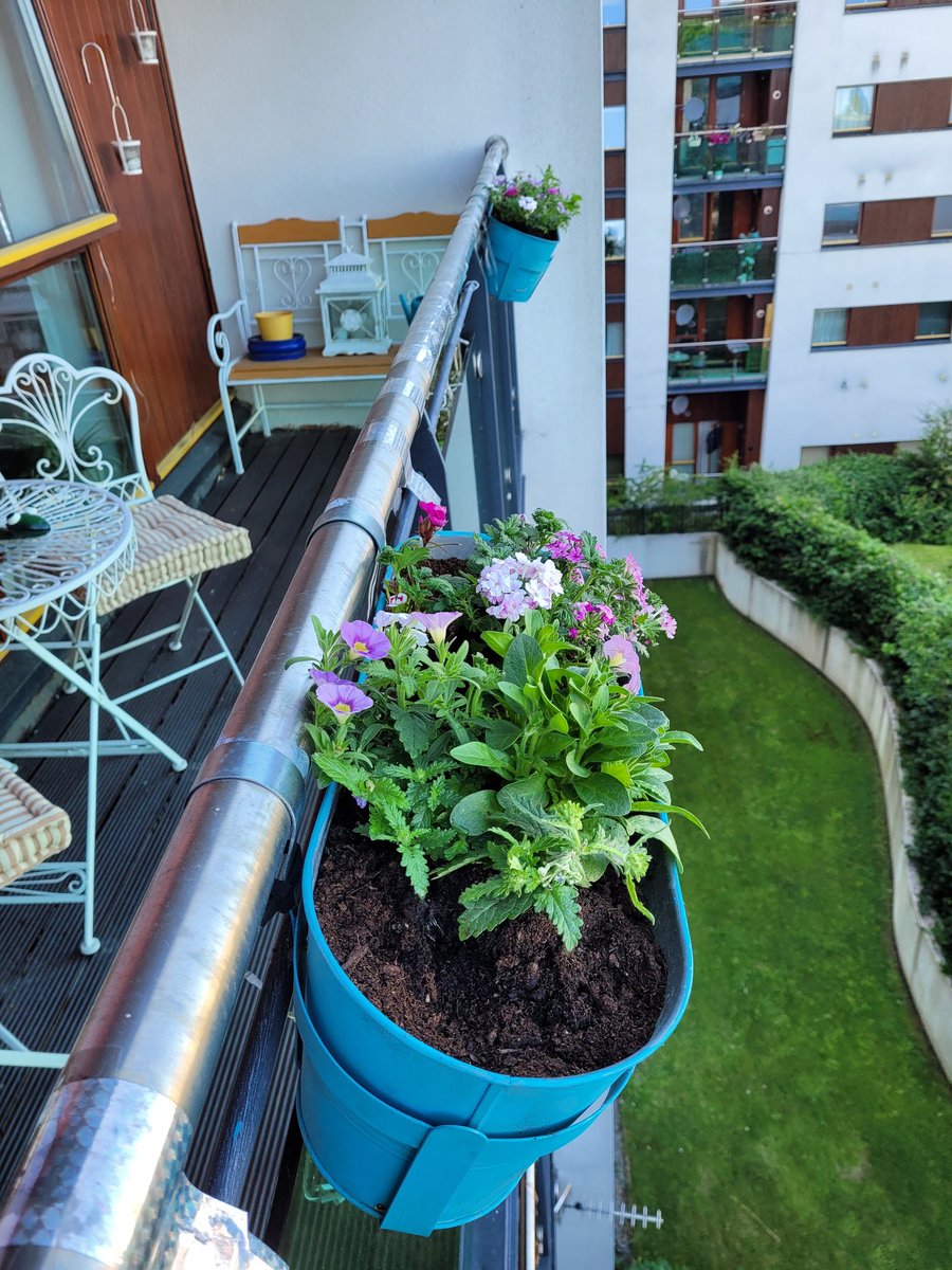 Richard Roche on Twitter: 