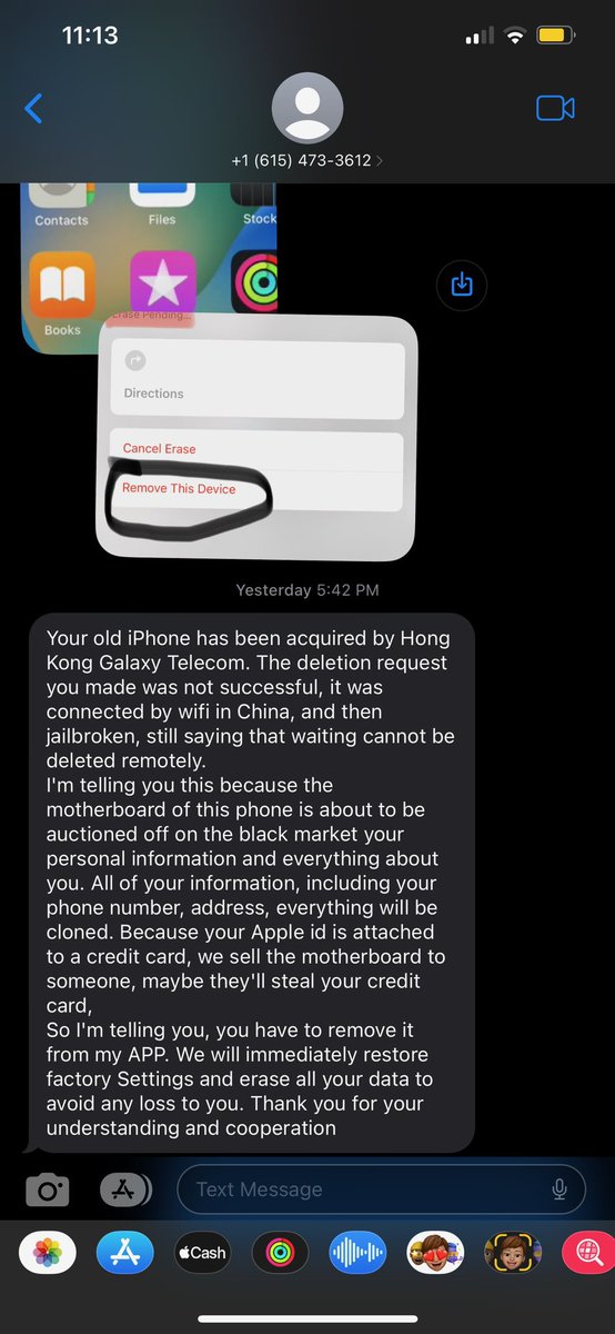 AidensTower's tweet photo. PSA for all the festival goers with stolen phones out there!!! this is a very sad excuse of a scam, do not respond to any of these texts, click any links, or follow any of their instructions, removing your device only gives them access to delete ur info and sell the phone <3 https://t.co/kzZVFy8cYK