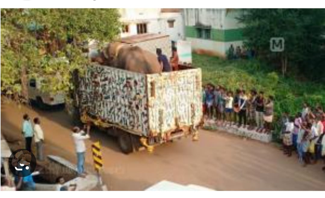 World environment day and the trauma of a wild tusker ലോക പരിസ്ഥിതി ദിനത്തിൽ കണ്ടത് കാട്ടാനയോടുള്ള ക്രൂരത- മുല്ലപ്പള്ളി രാമചന്ദ്രൻ-mathrubhumi.com/news/kerala/mu… @RahulGandhi @ShashiTharoor #Arikombans_trauma