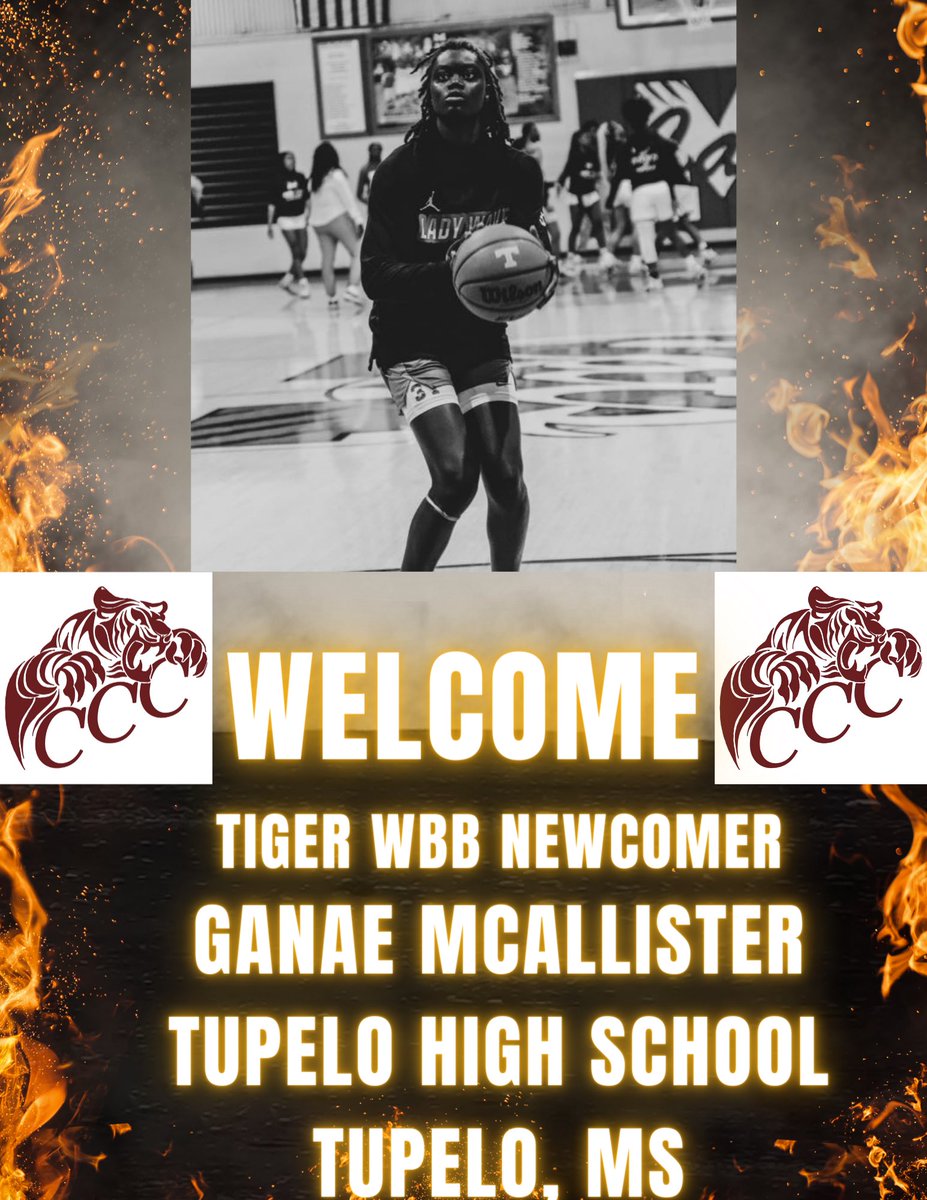 Tiger Nation, help us welcome our new comer @ganaemcalliste3 to the Tiger WBB Family!! We are blessed to have her and look forward to what’s to come!! #TheeStandard #WeBelieve 🏀🐅🤍