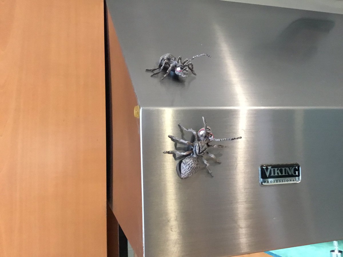 Always great to see my pal - legendary monster maker - Tom Savini at Monsterpalooza ‘23. And where else can you find top quality Zanti Misfits?