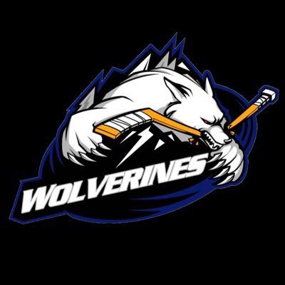 Wolverines 2.0 | CCRHL tweet media