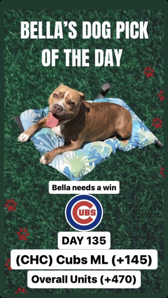 TheLocksOTD's tweet photo. 🐶BELLA'S DOG LOCK OTD🐶
‼️Overall Units +470‼️
🔥BELLA NEEDS A WIN🔥
⚾️(CHC) Cubs ML (+145)
#Cubs #Chicago #GamblingTwitter #Gambling #Dog #Dogs #DogPicks #DogPic #DogBets #Betting #Baseball #MLB #MLBPicks #Bella https://t.co/Gev7hMdH3r