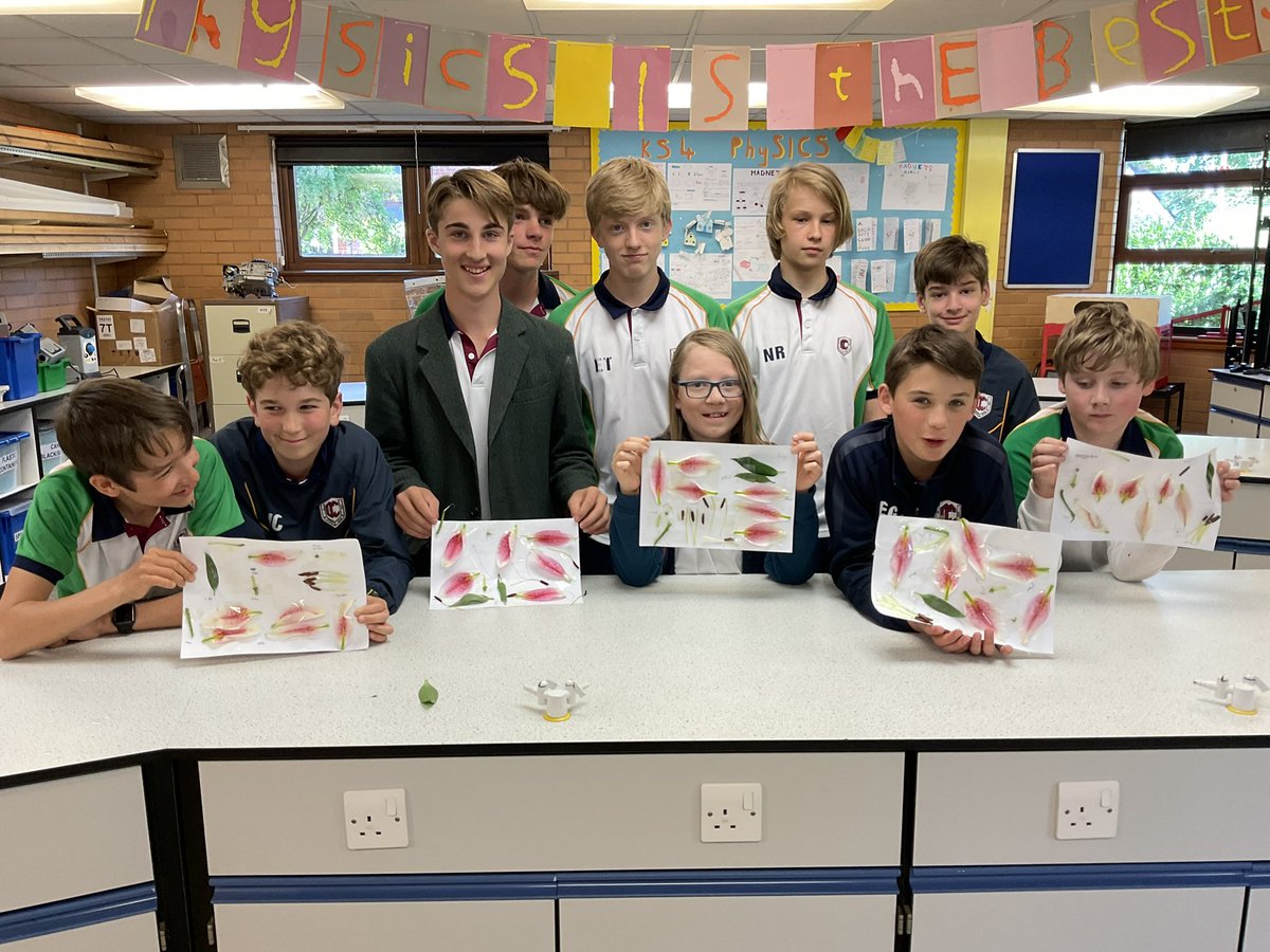 CCSciences's tweet photo. Flower power in Junior STEM Club today! Thanks to @lpct for your brilliant walk through of a lily dissection! #CCScience #CCSeniorBoys #CCSeniorGirls #CCSTEM https://t.co/tT24KZY5kx