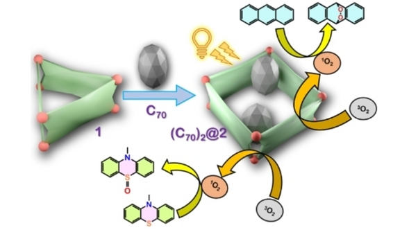 Angewandte Chemie (@angew_chem) on Twitter photo Structural Switching of a Distorted Trigonal Metal-Organic Cage to a Tetragonal Cage and Singlet Oxygen Mediated Oxidations (Partha Sarathi Mukherjee and co-workers) <a href="/psm_lab/">Partha Mukherjee's Lab</a> onlinelibrary.wiley.com/doi/10.1002/an… Structural Switching of a Distorted Trigonal Metal-Organic Cage to a Tetragonal Cage and Singlet Oxygen Mediated Oxidations (Partha Sarathi Mukherjee and co-workers) <a href="/psm_lab/">Partha Mukherjee's Lab</a> onlinelibrary.wiley.com/doi/10.1002/an…