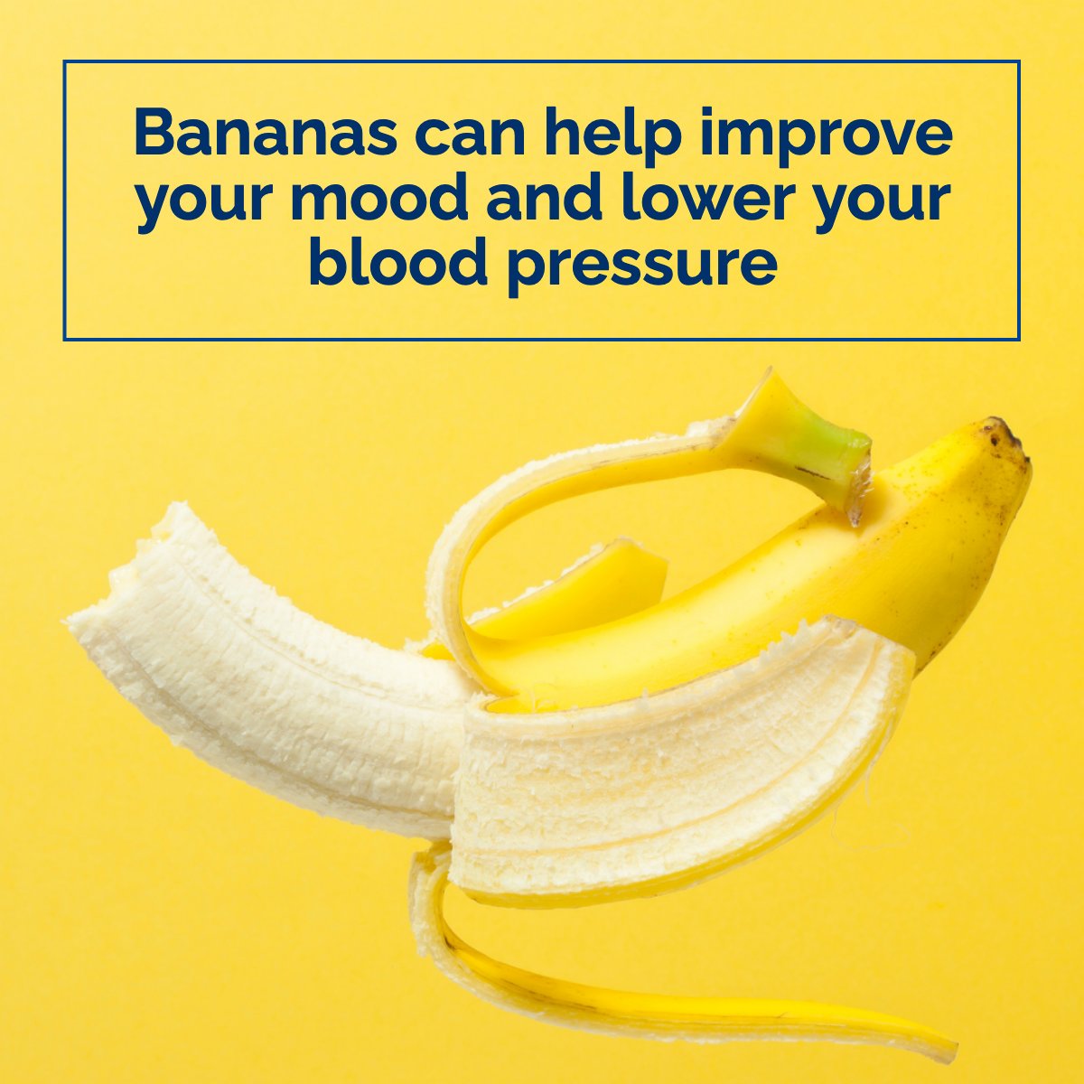 Do you like bananas?

Leave your comment below ⬇

#bananas     #banana     #fruits     #didyouknowfacts     #didyouknowthat
#realestate #realtor #southcarolina #homebuyer #land #homeowner #homeimprovement #lakemarion #summerville #lakemoultrie #sc #palmettostate