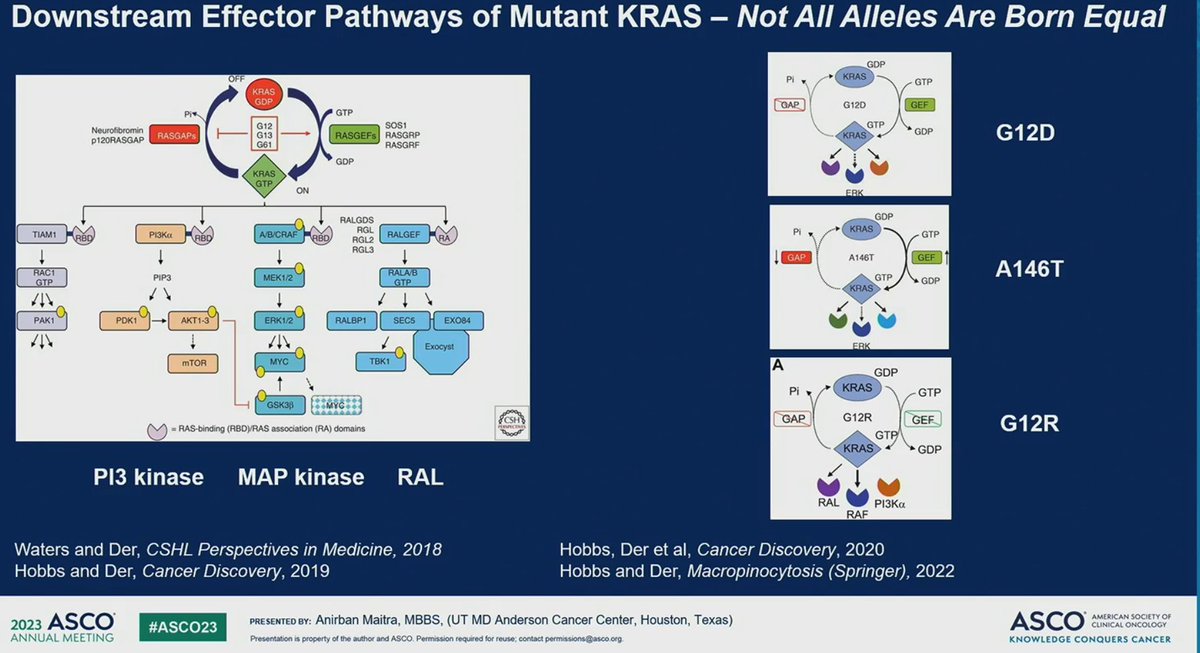 Always a treat to hear <a href="/Aiims1742/">Anirban Maitra</a> describe RAS signalling and differences in KRAS mutant alleles  in #PancreaticCancer pathogenesis
➡️ integration of transcriptomics to interrogate TME and metabolomics #abstract4020
✅ Differences certainly in G12D vs G12R