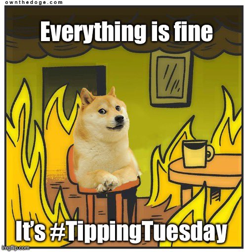 Almost #TippingTuesday it will be very cheap 🤣
