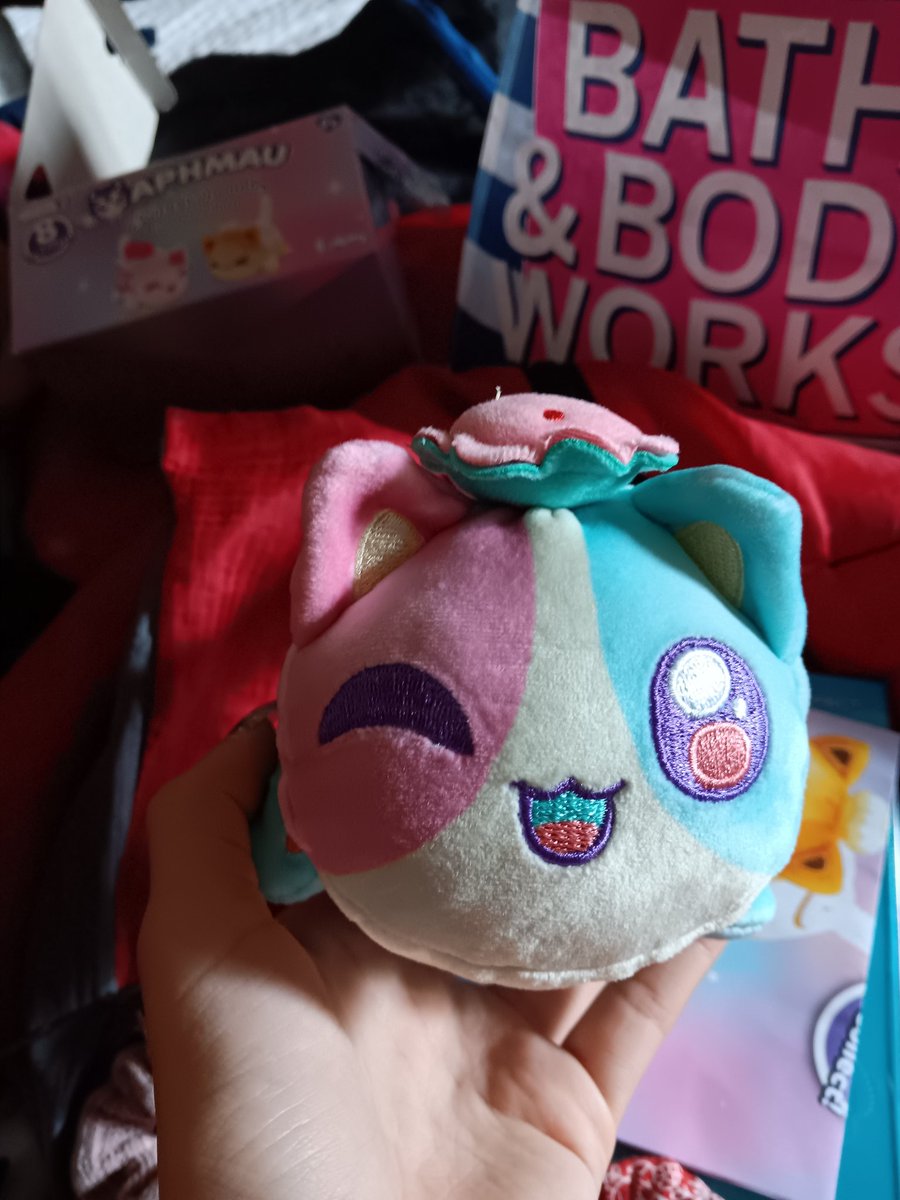 I got my VERY 1ST Aphmau MeeMeow mystery plush from litter 3🥰🥰🥰 I went 2 the mall with a group of friends last Friday & I went 2 Claire's & found them🥰🥰 So I now own Macaron Cat & I just got 7 more 2 get before I have the whole litter🩷🩷🩷