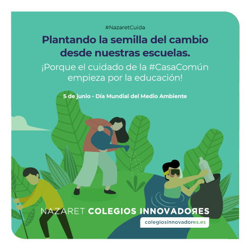 Coles Innovadores tweet media