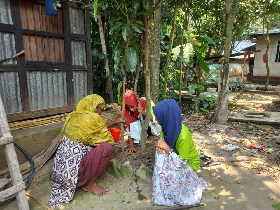 Happy #WorldEnvironmentDay!
#GreenHope in Bangladesh: Our amazing members planted mango trees with the women & girls of their rural community for #FoodSecurity & #FeministClimateJustice!🥭🌏
#SDG2 #SDG5 #SDG13 #SDG15 #COP28 #RoadToCOP28 #BeatPlasticPollution #LastDecadeOfAction